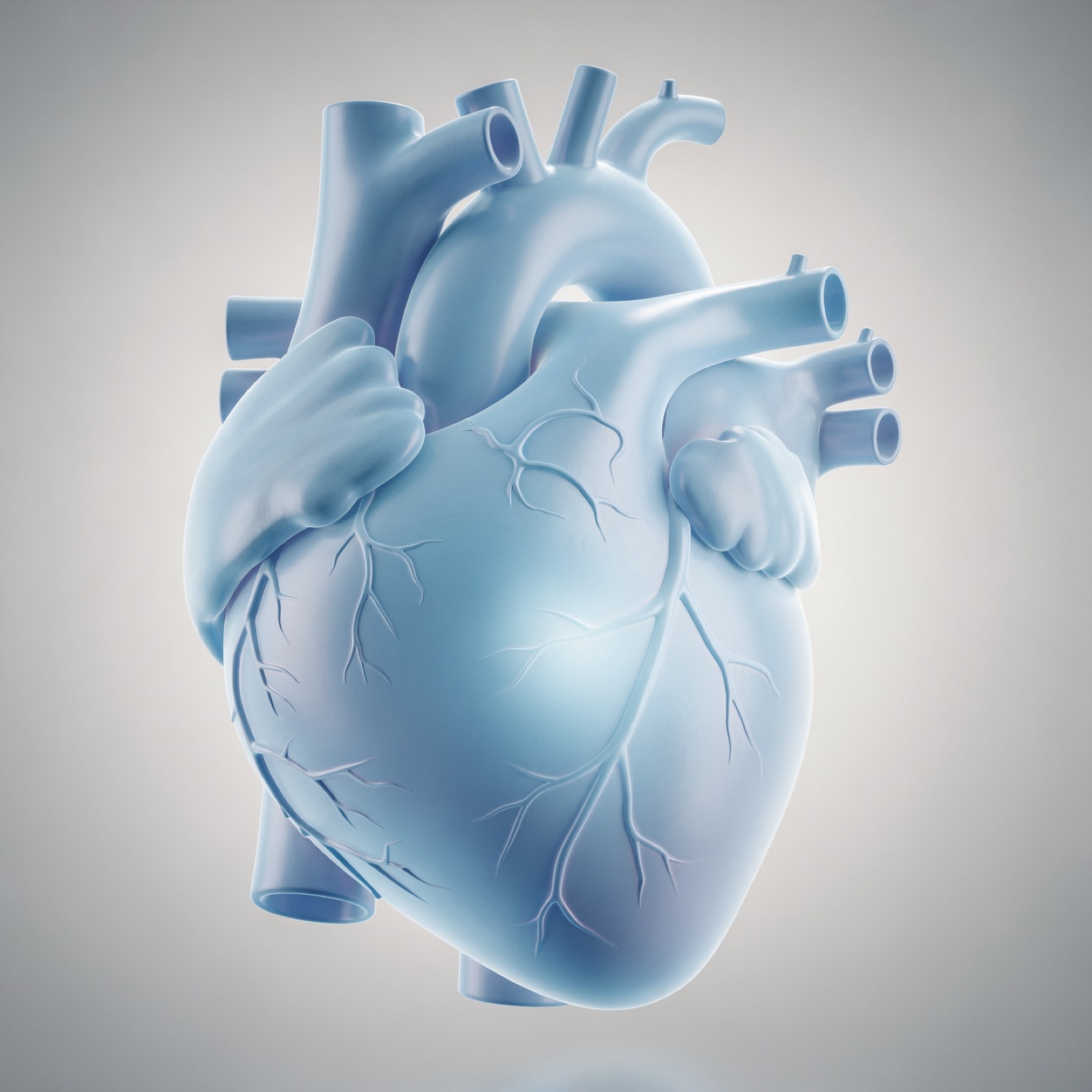 Understanding Calcium Scoring: A Guide to Your Heart Health (illustrative image)
