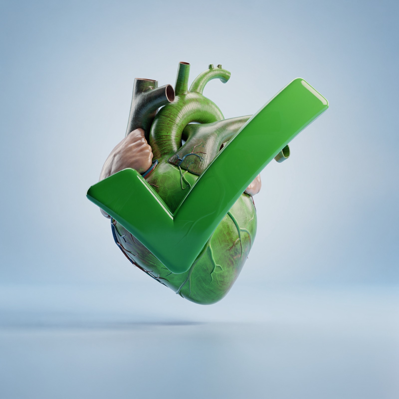Understanding Calcium Scoring: A Guide to Your Heart Health (illustrative image)